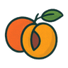 Apricot