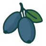Honeyberry