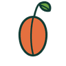 Nectarine